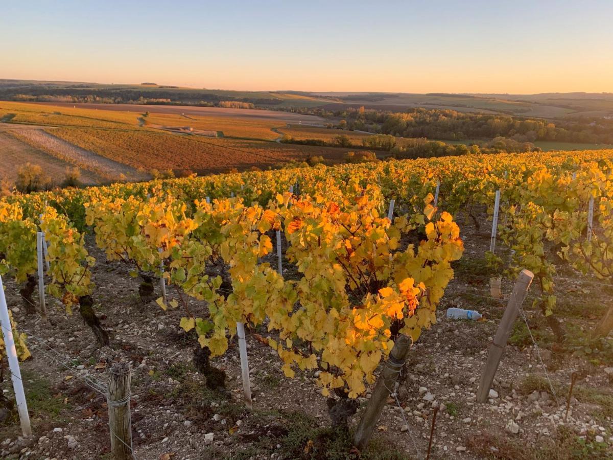 Maison De Campagne Entre Vigne Et Bois Chablis Exterior foto